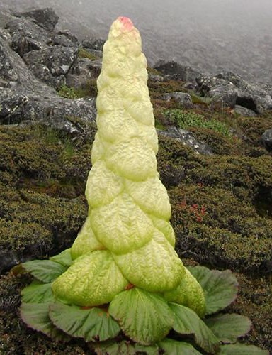 We'd love to hear from you